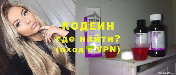 бошки Пересвет