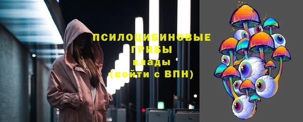 бошки Пересвет