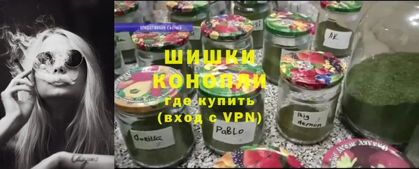 бошки Пересвет