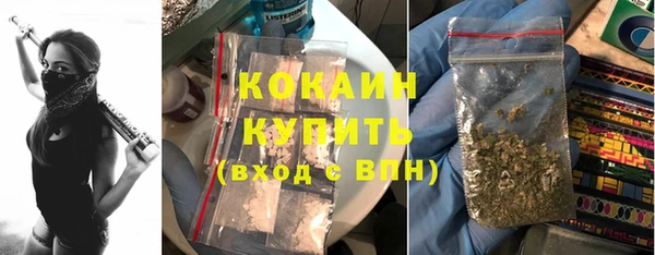 бошки Пересвет