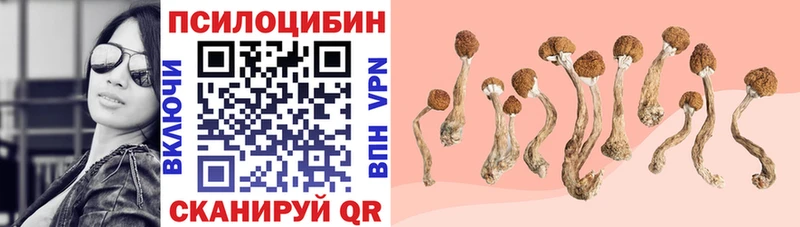 Псилоцибиновые грибы ЛСД  Яровое 